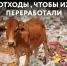 Раздельный сбор мусора: что это и почему это важно - Газета Заря Енисея