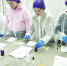 Кем стать? Сделать выбор поможет фестиваль профессий - Газета Заря Енисея
