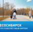 Голосование за формирование комфортной городской среды - Газета Заря Енисея